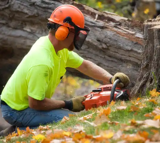 tree services Hartington